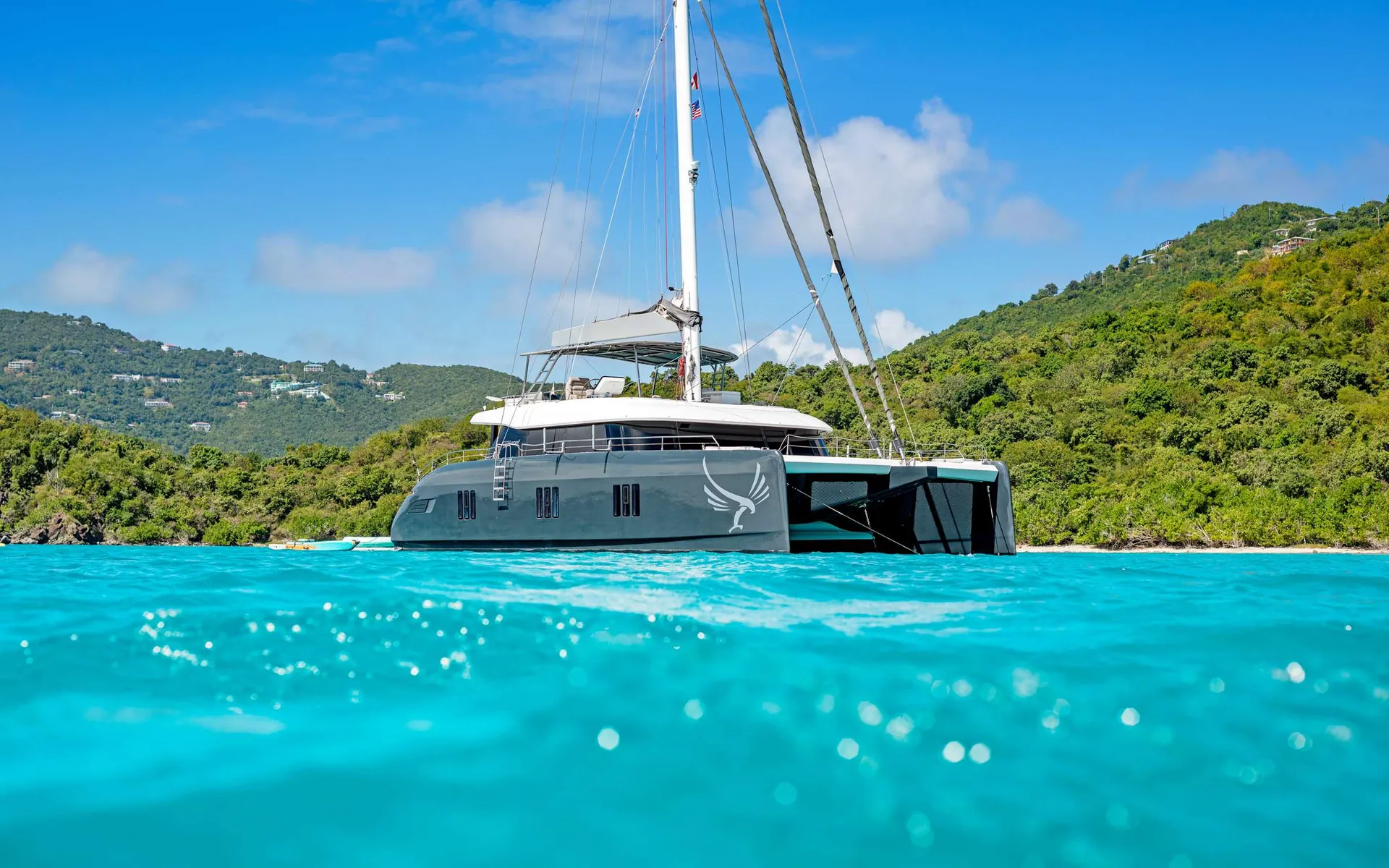 Gyrfalcon at anchor