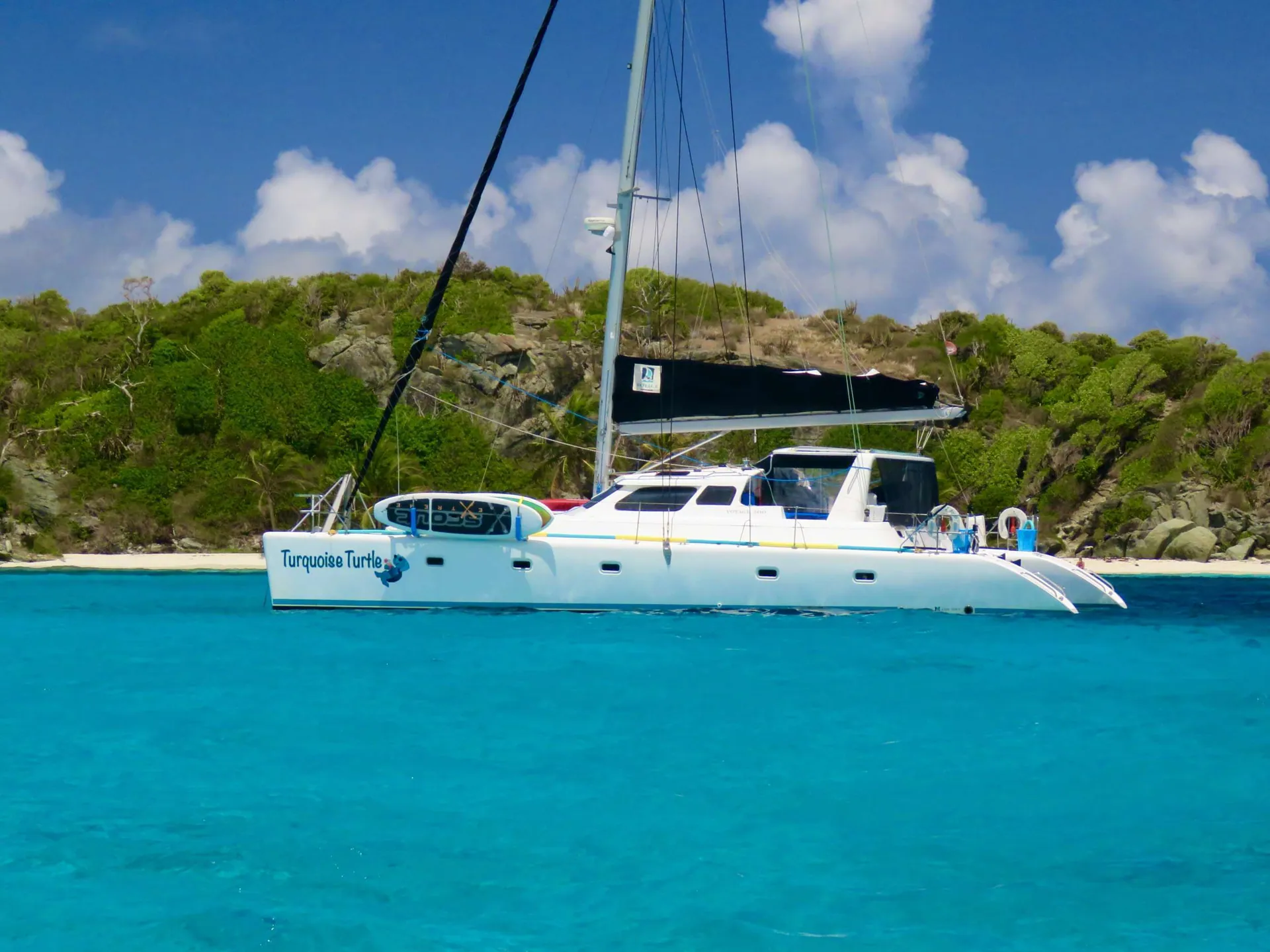 Turquoise Turtle at anchor